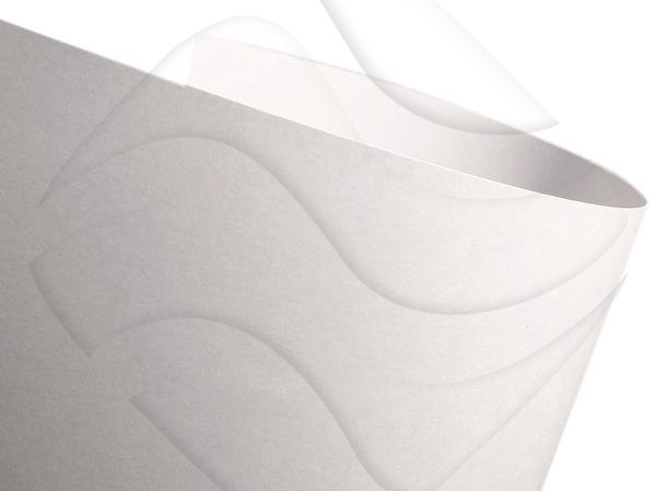 Karton A4 120G Biały Gładki Top A'50