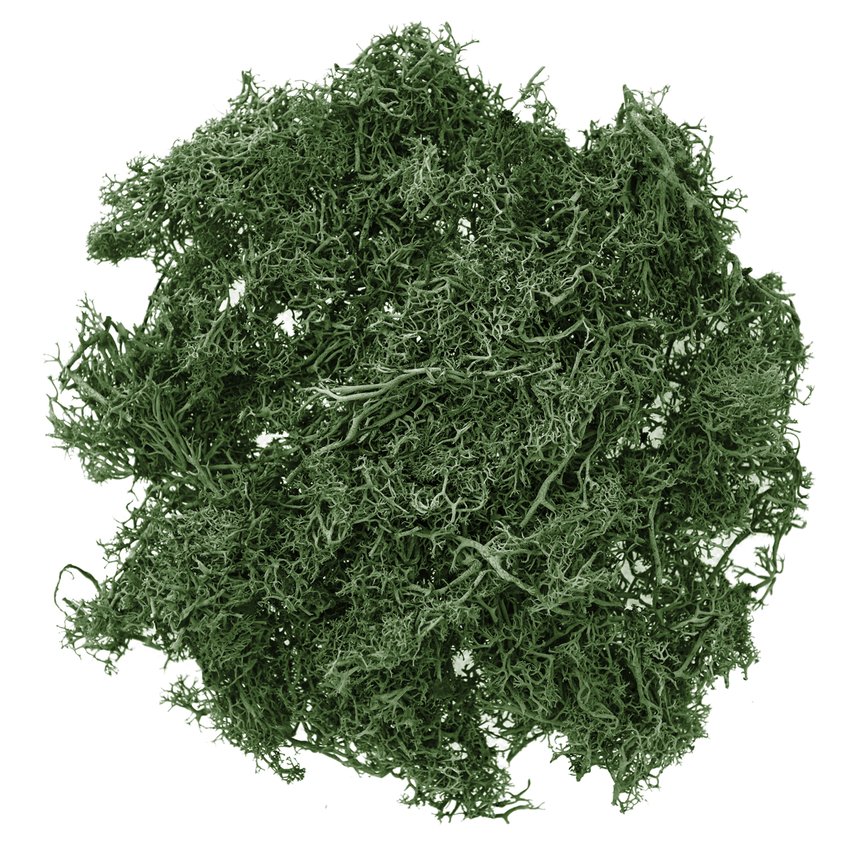 Mech Ciemnozielony 30g /DpCraft