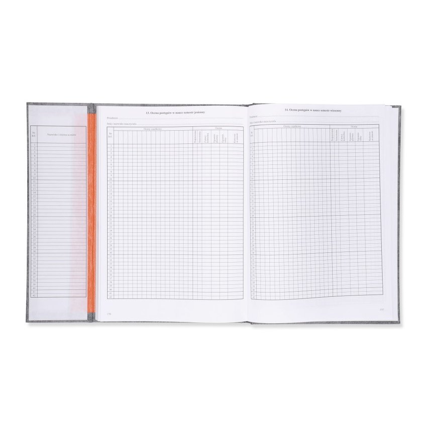 Dziennik Lekcyjny Dla Szkoły Stacjonarnej/Zawodowej (MEN I/4) /Intro-Druk