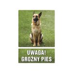 Znak TDC Uwaga Groźny Pies  /TDC
