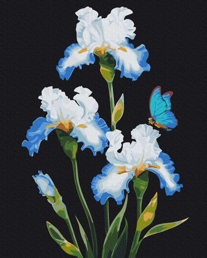 Malowanie po numerach BRUSHME 40x50 cm irysy 1 szt., w pudełku