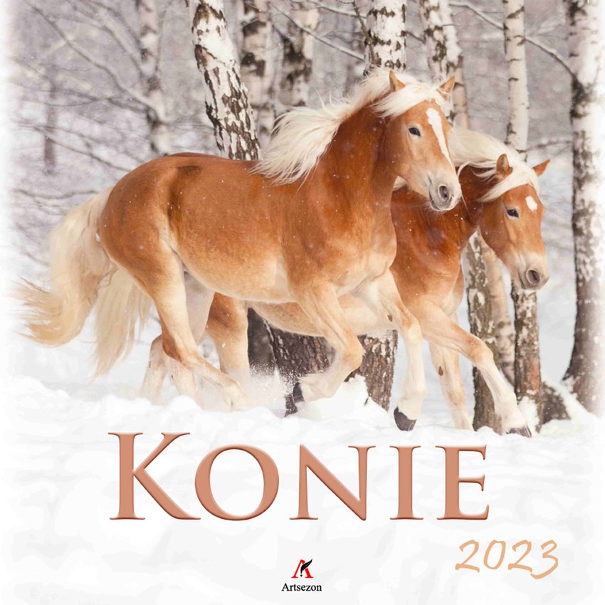 Kalendarz Wielop. Konie 33x33Cm 2023 /Artsezon