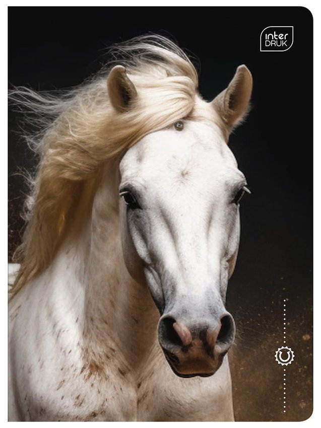 Zeszyt A5 16 3linia Kolorowa 70g UV Wild Horses / Interdruk