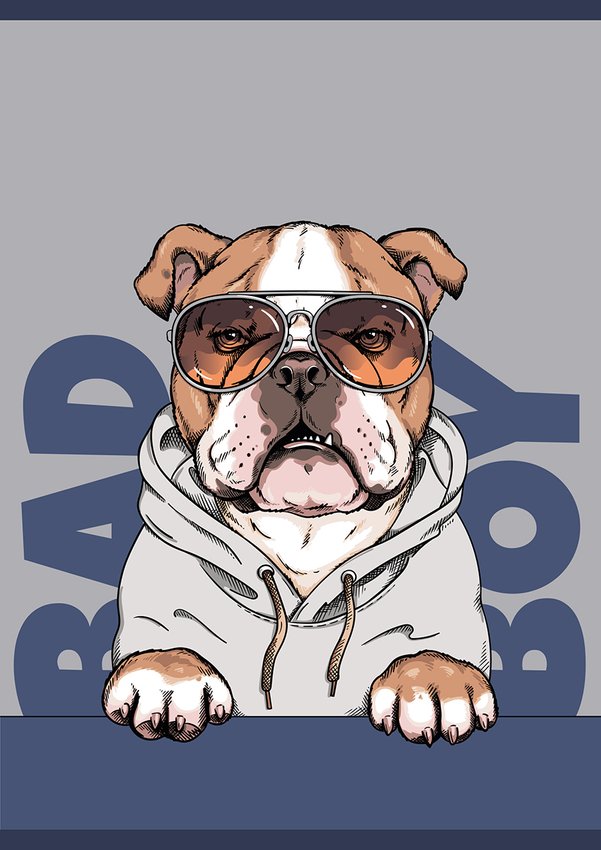 Zeszyt szkolny GIMBOO A5 w 3 linie 32 kart., 70gsm mix wzorów