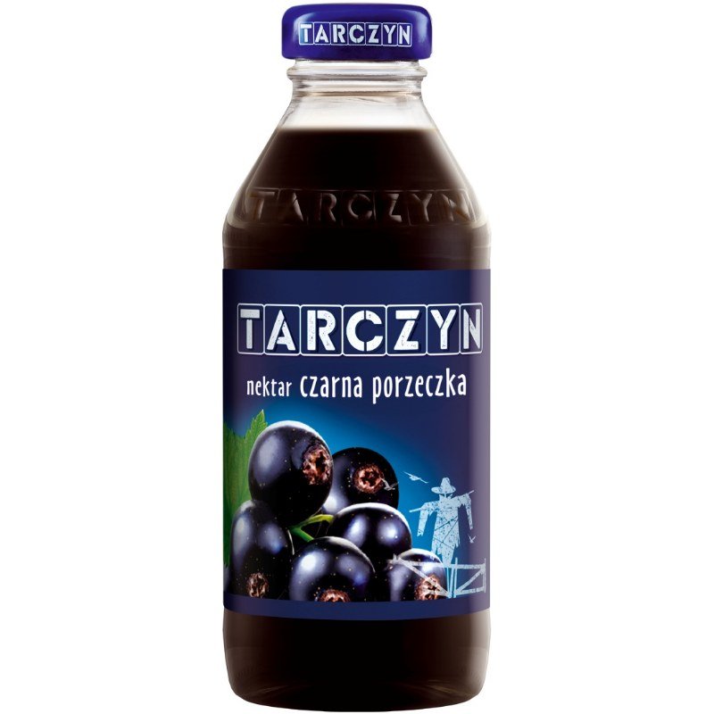 Nektar Tarczyn 0,3L Czarna Porzeczka