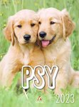 Kalendarz B4 Psy /Artsezon