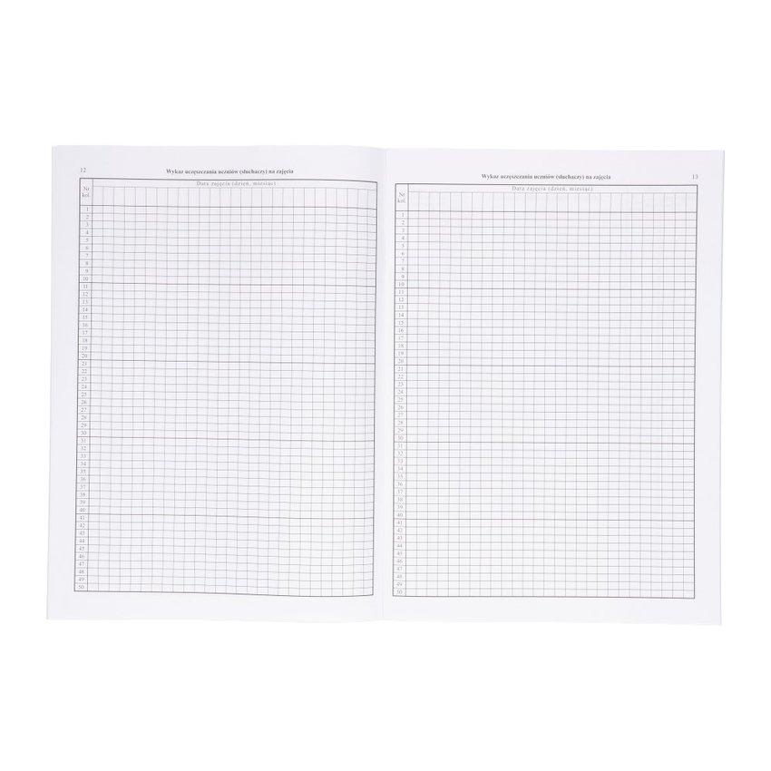 Dziennik Zajęć Pozalekcyjnych i Pozaszkolnych (MEN-I/6) /Intro