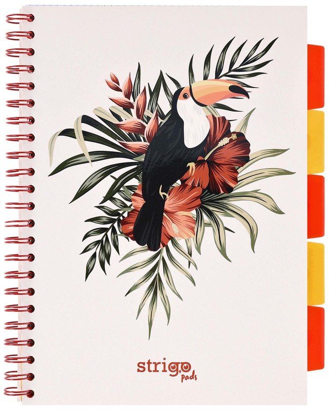 PROJECT BOOK PELIKAN A4 KRATKA 100k 80g bia3y