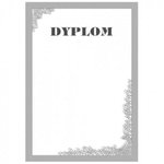 Dyplom O.Papiernia A4 190g Silver A'25 /Opus