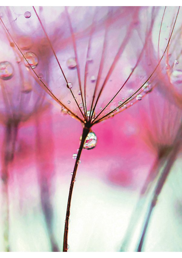 Zeszyt szkolny GIMBOO A5 w linie 60 kart., 70gsm mix wzorów