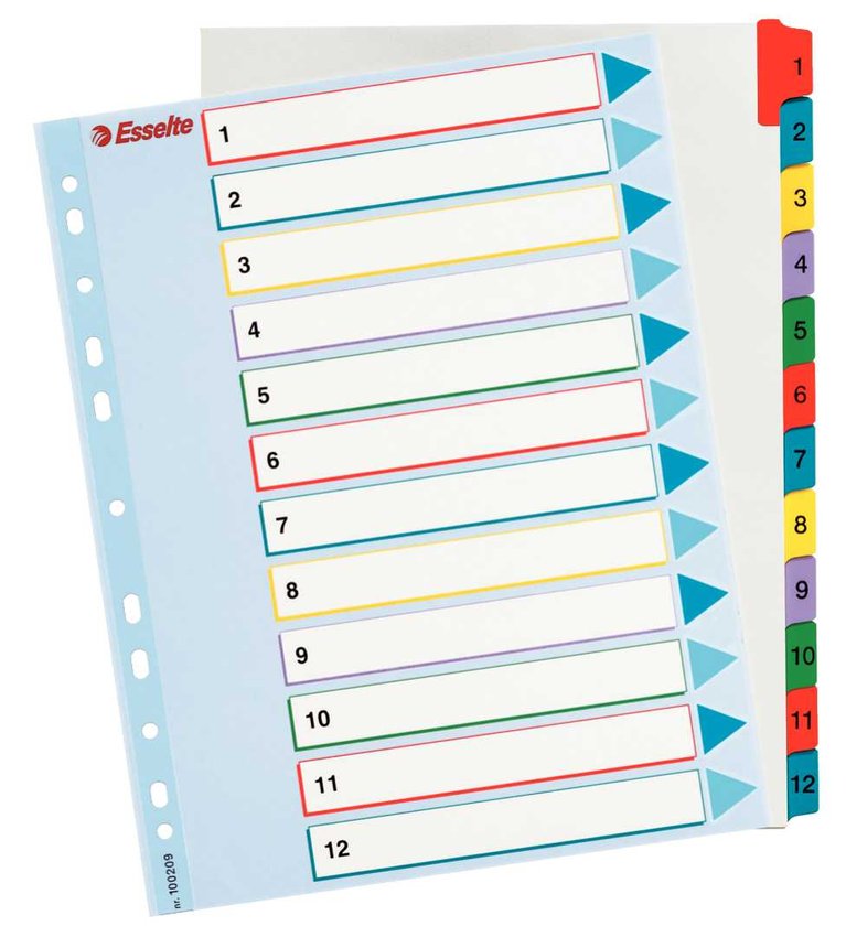 Przekładki Pap. A4 Numeryczne 1-12 Mylar Maxi 100209 /Esselte