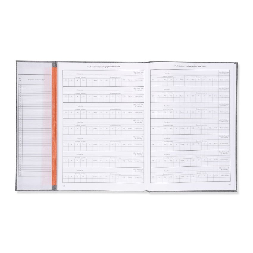 Dziennik Lekcyjny Dla Szkoły Stacjonarnej/Zawodowej (MEN I/4) /Intro-Druk