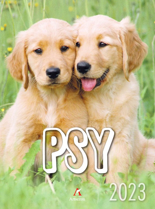 Kalendarz B4 Psy /Artsezon
