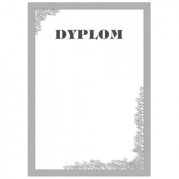 Dyplom O.Papiernia A4 190g Silver A'25 /Opus