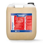 Tenzi Betorast Strong środek na cement beton 10L