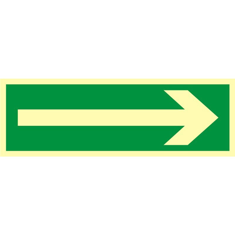 Znak TDC Kierunek Drogi Ewakuacyjnej  /TDC