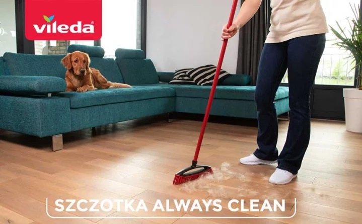 Szczotka do Zamiatania Sierści i Włosów Bez Drążka Always Clean Pet Pro /Vileda