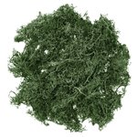 Mech Ciemnozielony 30g /DpCraft