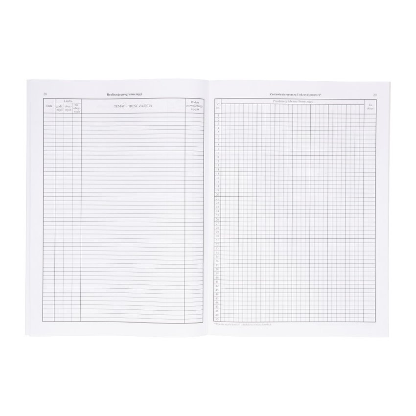 Dziennik Zajęć Pozalekcyjnych i Pozaszkolnych (MEN-I/6) /Intro