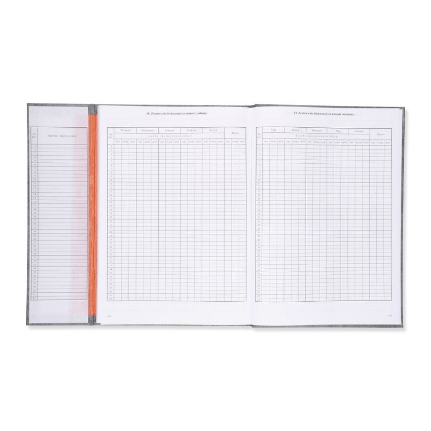 Dziennik Lekcyjny Dla Szkoły Stacjonarnej/Zawodowej (MEN I/4) /Intro-Druk