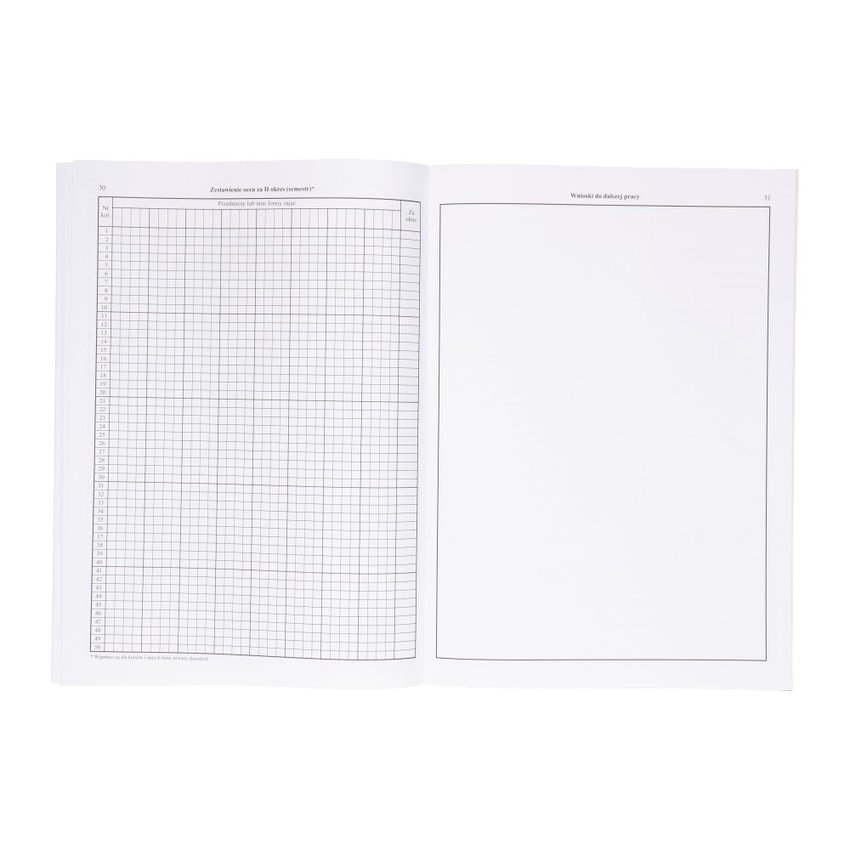 Dziennik Zajęć Pozalekcyjnych i Pozaszkolnych (MEN-I/6) /Intro