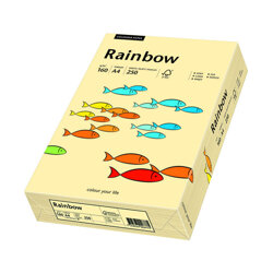 Papier Xero Rainbow A4 160G Kość Słoniowa R 06