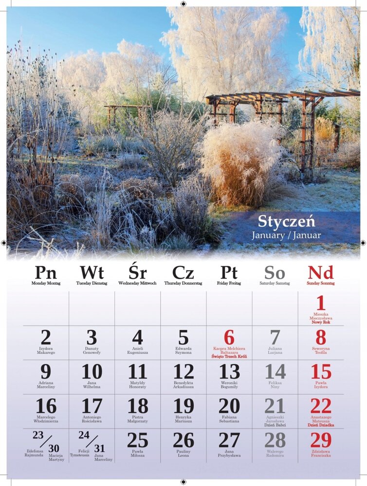 Kalendarz B4 Wymarzone Ogrody 31x23cm 2023 Artsezon Papier Kalendarze Terminarze 5761