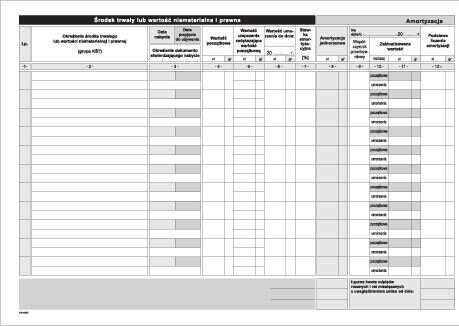 Ewidencja Środków Trwałych A4 Offset K9 /MiP