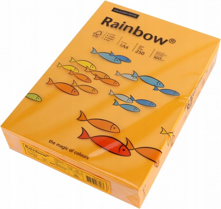 Papier Xero Rainbow A4 160G Jasno Pomarań R 22